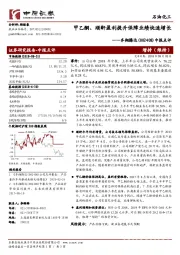 中报点评：甲乙酮、顺酐盈利提升保障业绩快速增长
