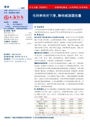 毛利率有所下滑，静待减速器放量
