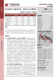 点评报告：电池材料产品量价齐升，驱动公司业绩增长