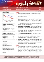 多项业绩表现亮眼,混改定增提升活力