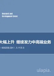 点评报告：利润总额大幅上升 继续发力中高端业务