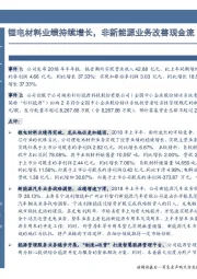 中报点评：锂电材料业绩持续增长，非新能源业务改善现金流