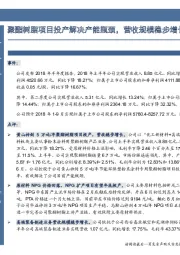 中报点评：聚酯树脂项目投产解决产能瓶颈，营收规模稳步增长