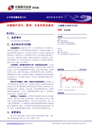 业绩稳中有升，装饰、水务环保发展快