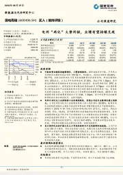 电网“两化”大势所驱,业绩有望持续兑现