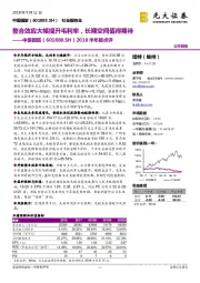 2018半年报点评：整合效应大幅提升毛利率，长期空间值得期待