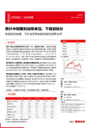 预计中短期利润率承压,下调目标价 宏观经济放缓、子行业竞争加剧压制利润率水平