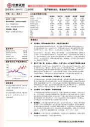 国产密封龙头， 受益油气行业回暖