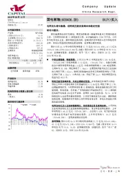 电网龙头增长稳健,迎特高压建设高峰未来确定性强