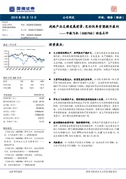 动态点评：战略产品支撑发展前景，定价改革有望提升盈利