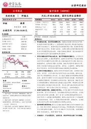 内生+外延双驱动，国际化种企显雏形