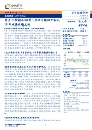 自主可控核心标的:股权问题初步落地,18年或将业绩反转