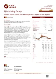 Ashele Copper: Visible cost advantage and a largest source of profit