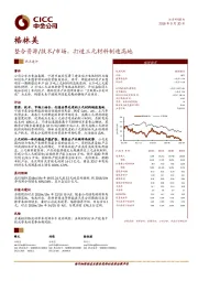 整合资源/技术/市场，打造三元材料制造高地