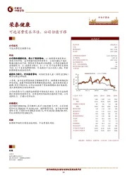 可选消费需求不佳，公司估值下移