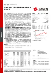 从海外经验，看国旅的未来毛利中枢及提升空间