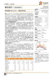 拟收购意大利CANDY，加速全球布局