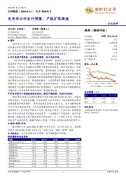 发布非公开发行预案，产能扩张提速