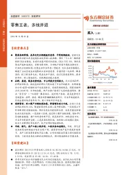 深度研究：零售王者，多线并进