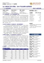 中小盘信息更新：Q3业绩指引符合预期，2018年高速增长值得期待