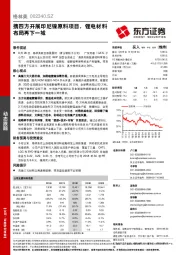 携四方开展印尼镍原料项目，锂电材料布局再下一城