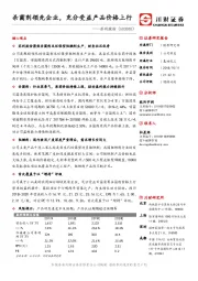 杀菌剂领先企业，充分受益产品价格上行