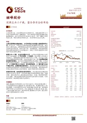 深耕主业二十载，整合夯实全球布局