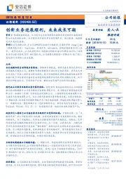 创新业务进展顺利，未来成长可期