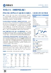 PTA价格大涨带动公司Q3盈利大幅提升，文莱炼化项目有序推进