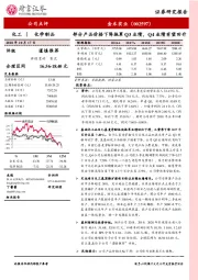 部分产品价格下降拖累Q3业绩，Q4业绩有望回升