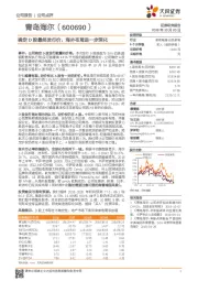 确定D股最终发行价，海外布局进一步深化