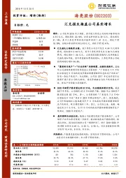 汇兑损失掩盖公司真实增长