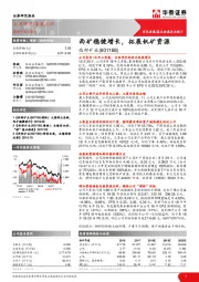 西矿稳健增长，拓展钒矿资源