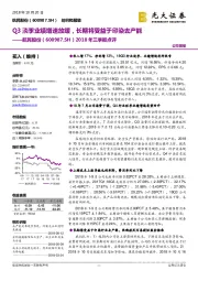 2018年三季报点评:Q3淡季业绩增速放缓,长期将受益于印染去产能