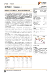 短期波动不改长期趋势，海外蓝海市场增量可期