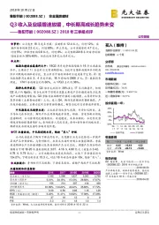 2018年三季报点评：Q3收入及业绩增速放缓，中长期高成长趋势未变