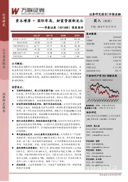 深度报告:资本增厚+国际布局,财富管理新龙头