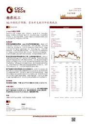3Q业绩低于预期，资本开支助力中长期成长