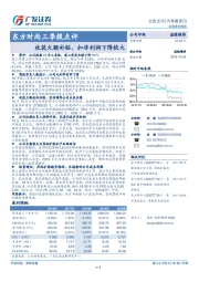 三季报点评：收获大额补贴，扣非利润下降较大
