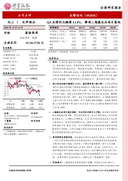 Q3业绩同比微增3.14%，静待二期氯化法项目落地