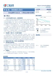有机颜料行业龙头，三季报业绩加速增长