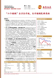 “六个核桃”全方位升级，打开核桃乳新局面