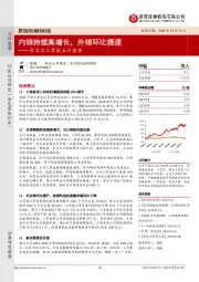 三季报点评报告：内销持续高增长，外销环比提速