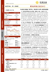 先进技术嫁接广阔市场，新材料平台跨入转型收获期