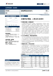 业绩符合预期，三驾马车共前行