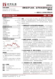 季报点评：菊酯高景气延续，麦草畏放量推动全年业绩增长