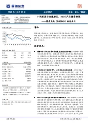 动态点评：小间距显示快速增长，mini产品稳步推进