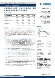 业绩基本符合预期,泛酸钙价格承压,基药目录新进品种有望助飞制剂板块