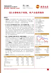 Q3业绩略低于预期，新产品值得期待