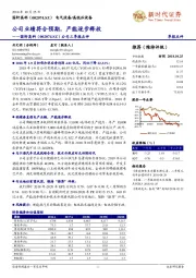 公司三季报点评：公司业绩符合预期，产能逐步释放